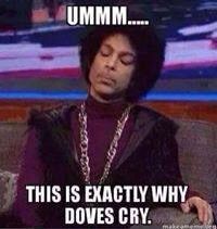 this is why doves cry